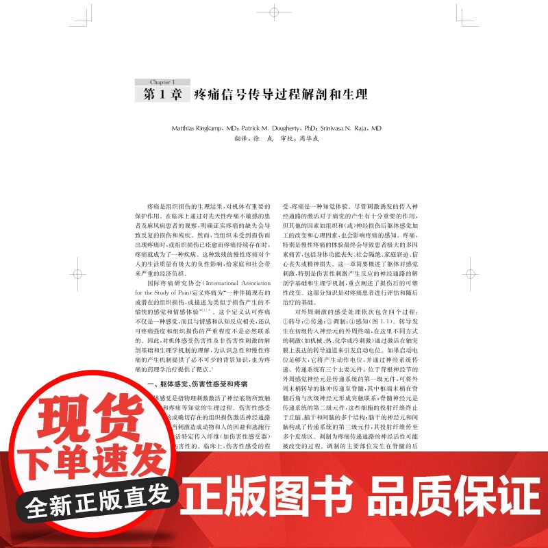 疼痛医学精要 疼痛科资料参考书慢性疼痛围手术期疼痛理论实践上海科学技术出版社临床医学外科学高清大图