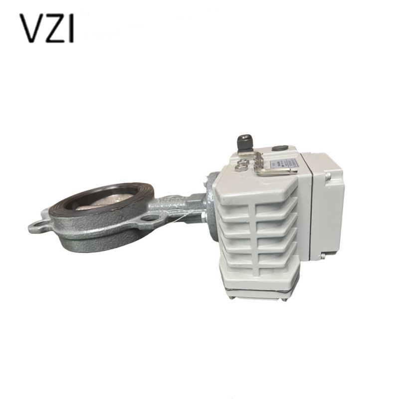 vzi 电动对夹蝶阀 D971X-16 DN100 个