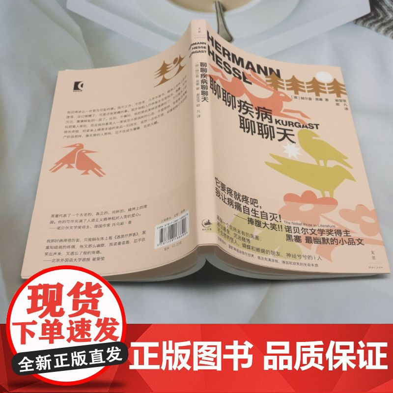 [余杭新华正版]聊聊疾病聊聊天 [德]赫尔曼·黑塞著著 散文