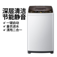 Haier/海尔 XQB80-Z1269波轮洗衣机 全自动家用 8公斤智能预约 自由选择洗衣时间 漂甩二合一 2级能效