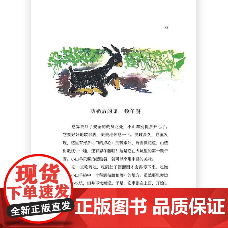 浪花朵朵正版 大作家写给孩子们“小冒险家”系列 5册套装 7-10岁 第二级 动物自然冒险 成长自信勇气 儿童文学高清大图