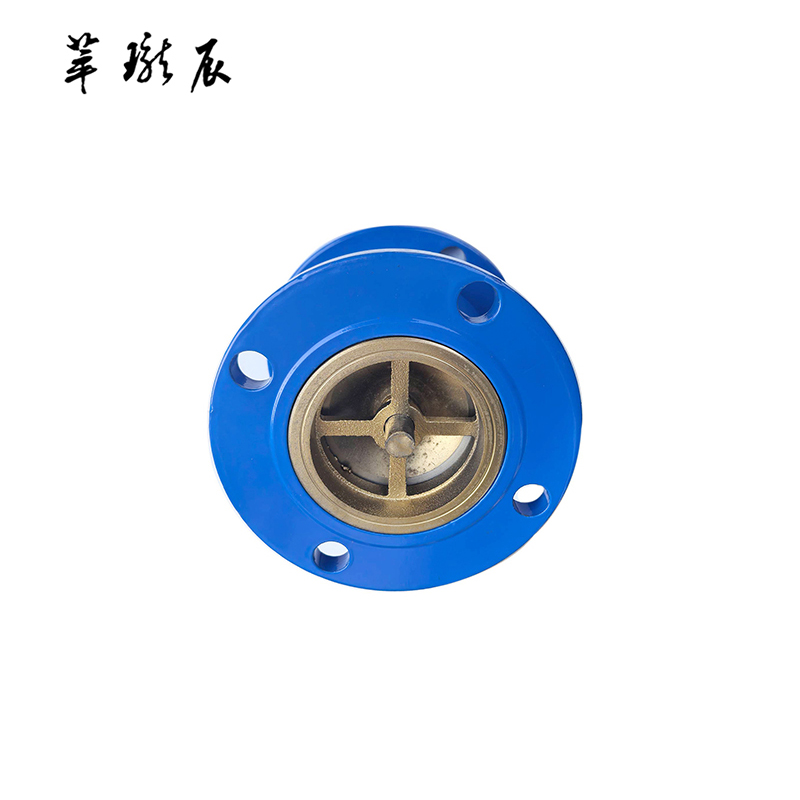 萃珑辰 HC41X消声逆止阀 DN100 个