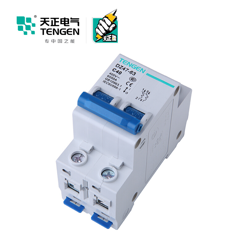 天正电气 空气开关 DZ47-63 2P C 40A 4.5KA 01060020268 微型断路器
