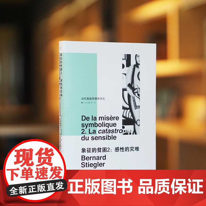 象征的贫困2 贝尔纳·斯蒂格勒 著 社会科学高清大图