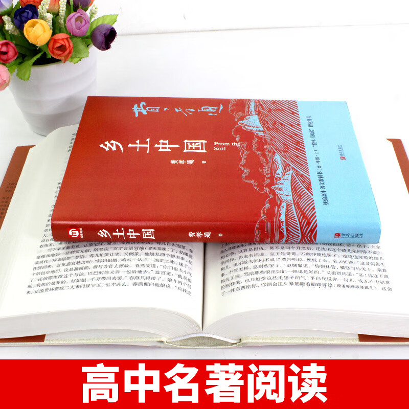 红楼梦和乡土中国费孝通原著完整版 高一正版课外书整本书阅读高中课外阅读书籍 名著语文人民文学出版社高清大图