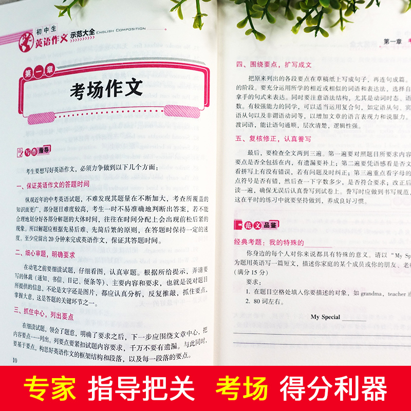 初中生英语作文一本全 [正版]初中生英语作文示范大全英语作文考场大全英语作文一本全初一初二初三通用英语高分作文素材范文大高清大图