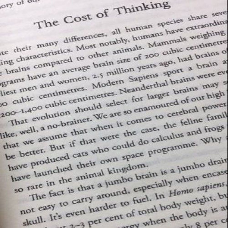 人类简史英文版 Sapiens: A Brief History of Humankind 书籍 人类简史英文版 Sap