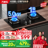 万家乐JZT-AY5燃气灶具家用厨房台式嵌入式天然气煤气双灶5.0KW火力