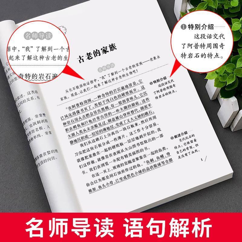 钢铁是怎样炼成的 爱的教育昆虫记钢铁是怎样炼成的老人与海假如给我三天光明爱阅读