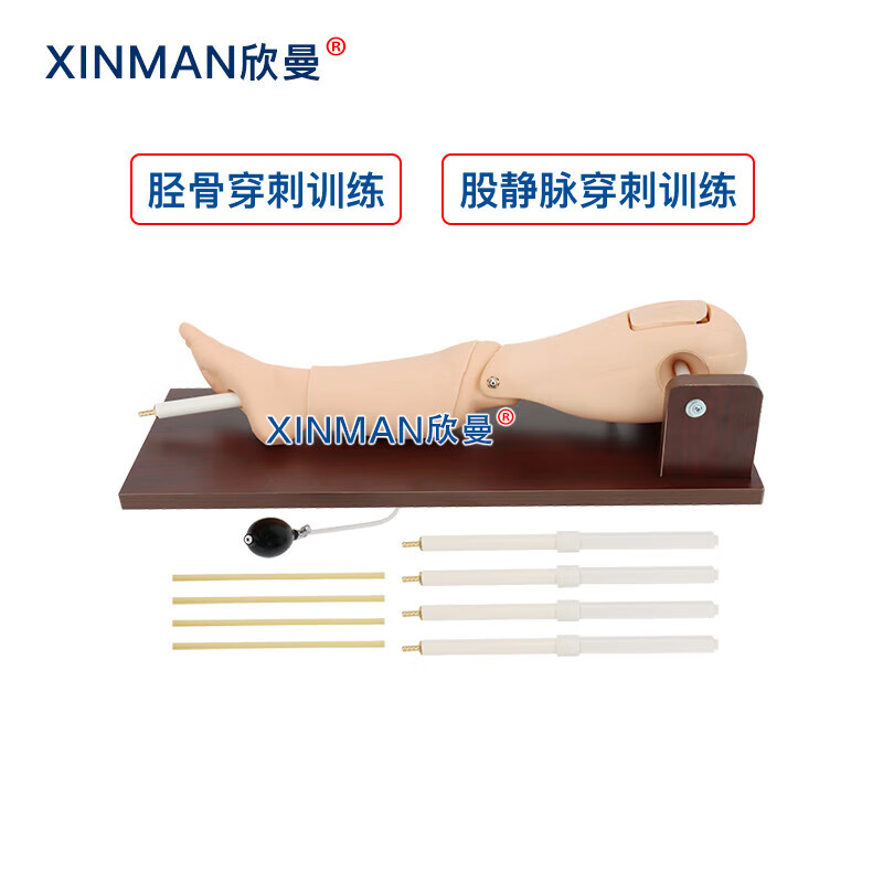 欣曼科教 胫骨穿刺训练模块 骨髓穿刺及股静脉模型 骨内灌注及股静脉穿刺腿部模型XM-GC1高清大图