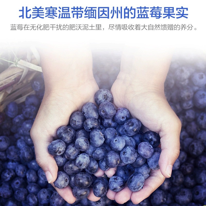 汤臣倍健蓝莓叶黄素咀嚼片软糖非专利护眼成人正品官方一件装