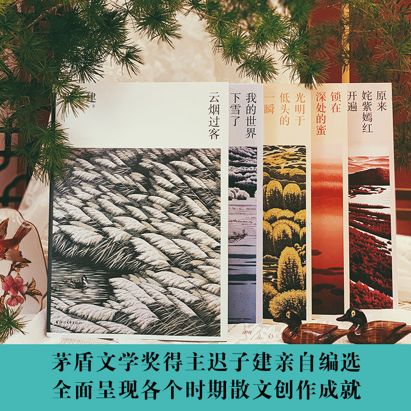 [友一个正版]迟子建散文典藏版全5册 茅盾文学奖得主迟子建散文自选集我的世界下雪了原来姹紫嫣红开遍云烟过客光明于低头的