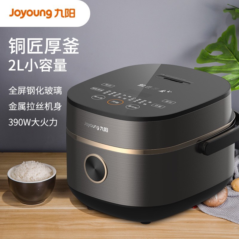 九阳 Joyoung 电饭煲 铜釜内胆2L家用小容量电饭锅 预约触摸式智能控制 F-20FY1高清大图