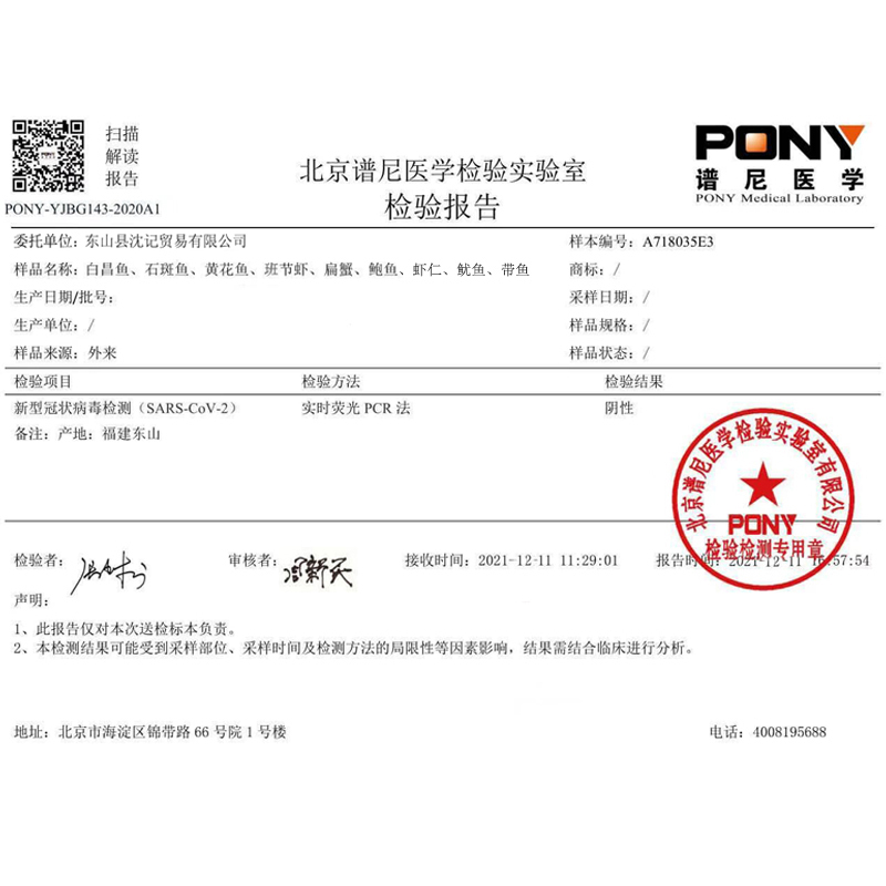 国产已通过核酸检测沈志雄船长东山岛海捕海鲜石斑鱼土斑九带石斑鱼