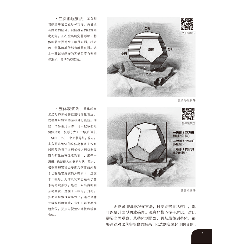 醉染图书素描轻松画:花果植物9787540155209高清大图