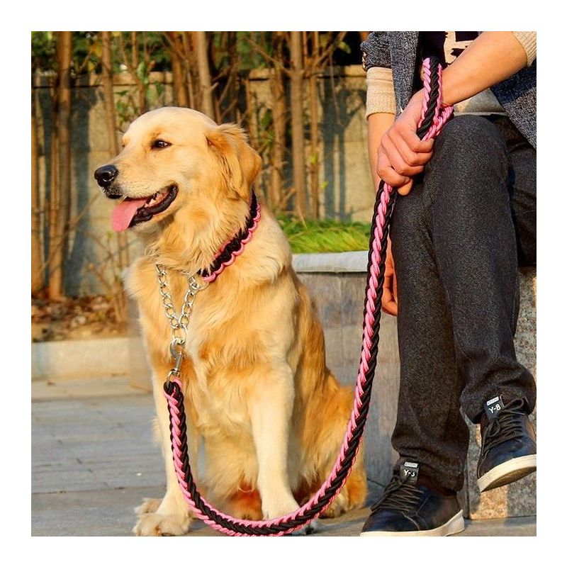 p链牵引绳遛狗绳中型犬柯基犬萨摩耶大型金毛拉布拉多项圈狗链子|粉色