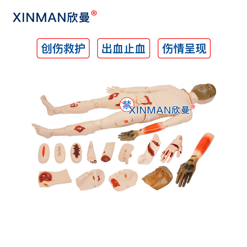 欣曼科教 高级全功能战创伤模拟人 自救互救战创伤基础伤情模拟人XM-Y1111高清大图