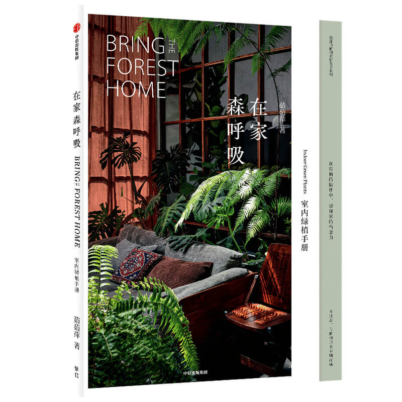 音像在家森呼吸(室内绿植手册)茹茹萍