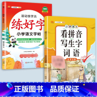 [语文字帖 ]+看拼音写生字词语 一年级上 [正版]衡水体英语字帖练字一年级二年级三四五六上册下册小学生笔画笔顺练字帖每