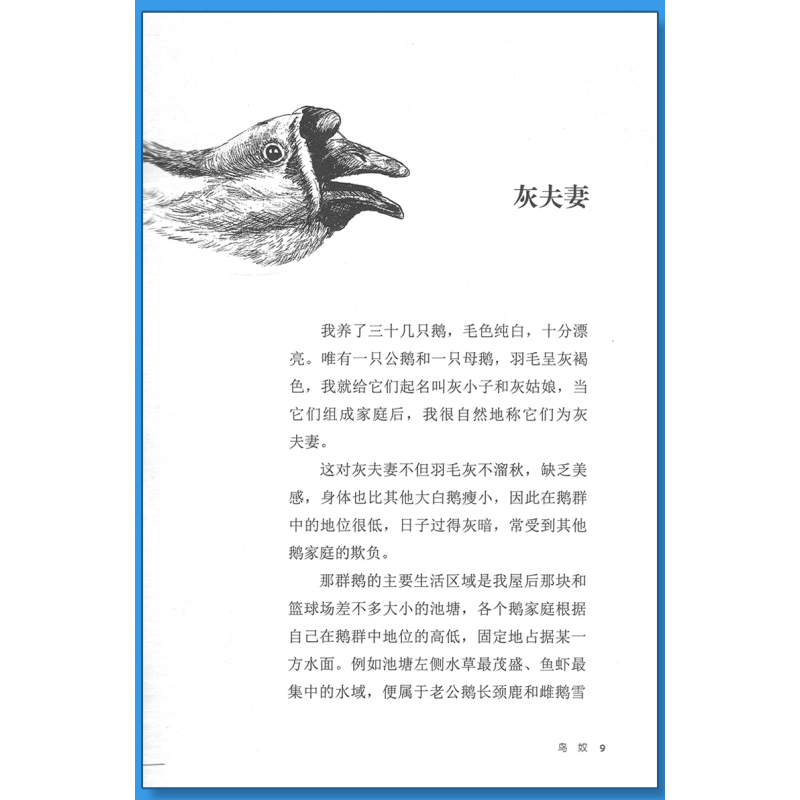 象母怨 [正版]鸟奴沈石溪小学四年级五年级全集全套书浙江少年儿童出版社非注音版完整版动物小说大王品藏书系小学生课外阅读适
