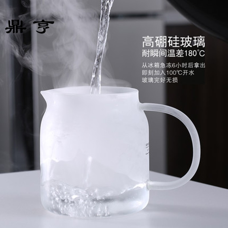 鼎亨玻璃茶壶不锈钢过滤茶具耐热玻璃加厚花茶壶泡茶壶飘逸壶水壶