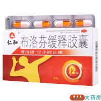 [2盒]仁和 布洛芬缓释胶囊 0.3g*22粒/盒*2盒 关节痛牙痛肌肉痛神经痛感冒发热