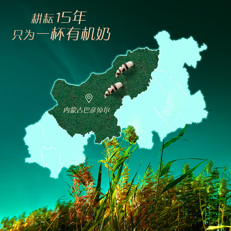 圣牧有机纯牛奶(名醇)200ml*10盒高清大图