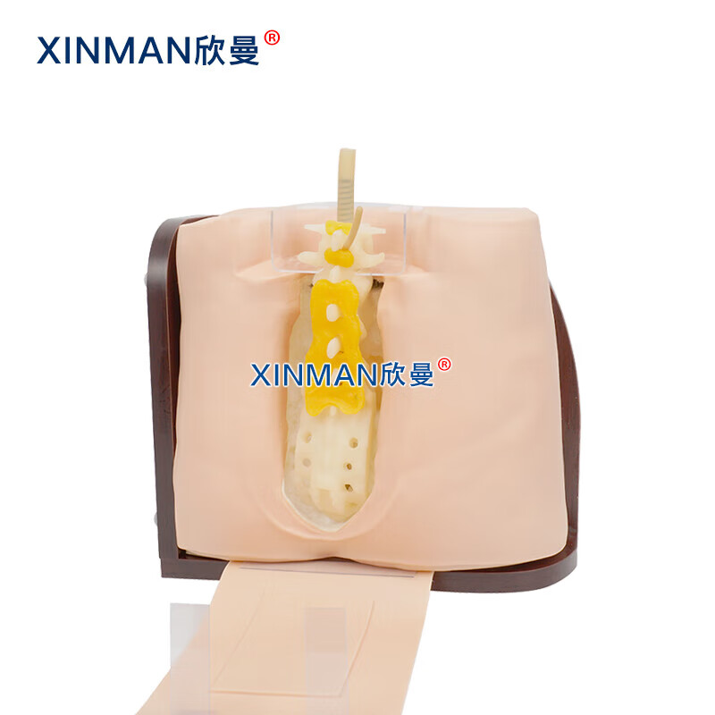欣曼科教 椎管内麻醉腰椎穿刺模型 脊椎穿刺模拟人XM-YC03高清大图