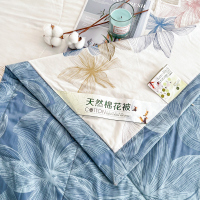 菲品欧造 空调被F06009 200*230cm 全棉抑菌 克重:1500g