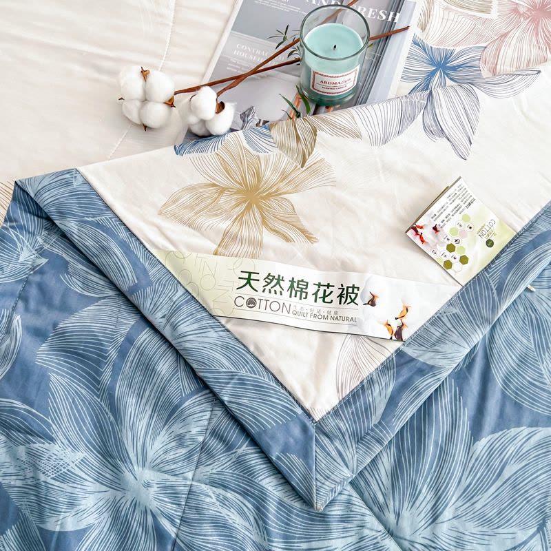 菲品欧造 空调被F06009 200*230cm 全棉抑菌 克重:1500g图片