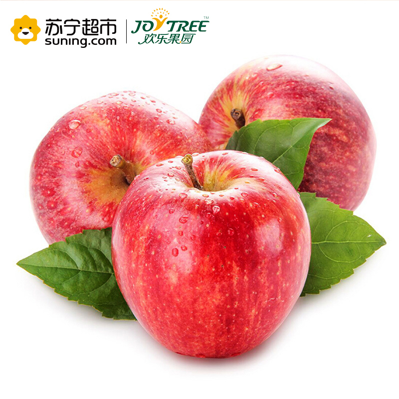 欢乐果园 智利进口加力果 4个装 单果重约130-170g