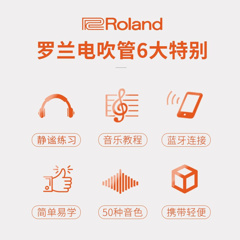 罗兰(Roland)AE-01C电吹管新型电子萨克斯支持蓝牙初学者成人老年人电子管乐+多功能音箱套装
