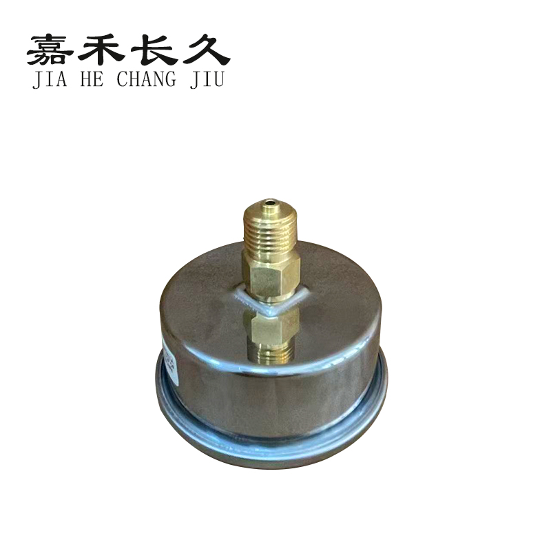 嘉禾长久 耐震压力表轴向 YTN60Z 0-40Mpa 块高清大图