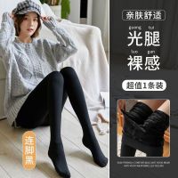 南极人女肉色丝袜连裤袜外穿秋冬加绒加厚打底裤棉裤 320克厚绒均码75-135斤 黑色连脚1条装