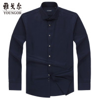 Youngor/雅戈尔新款男士长袖衬衫商务休闲羊毛混纺衬衣中青年8943