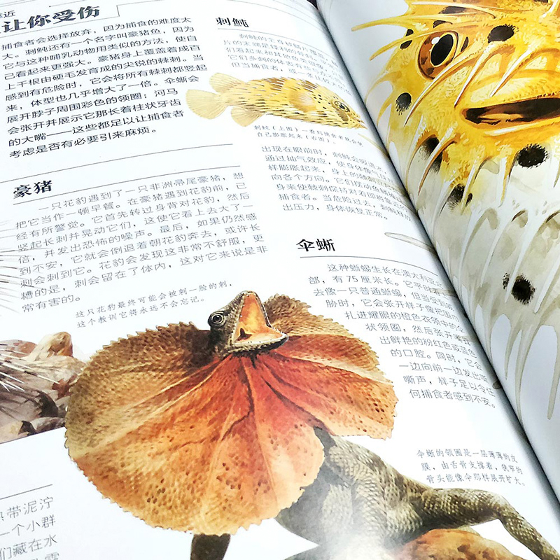 [正版]北斗自然传奇:动物的生存之道 动物的智慧和行为大百科全书 6-12岁儿童科普书揭秘自然动物生命奥秘图画书籍高清大图