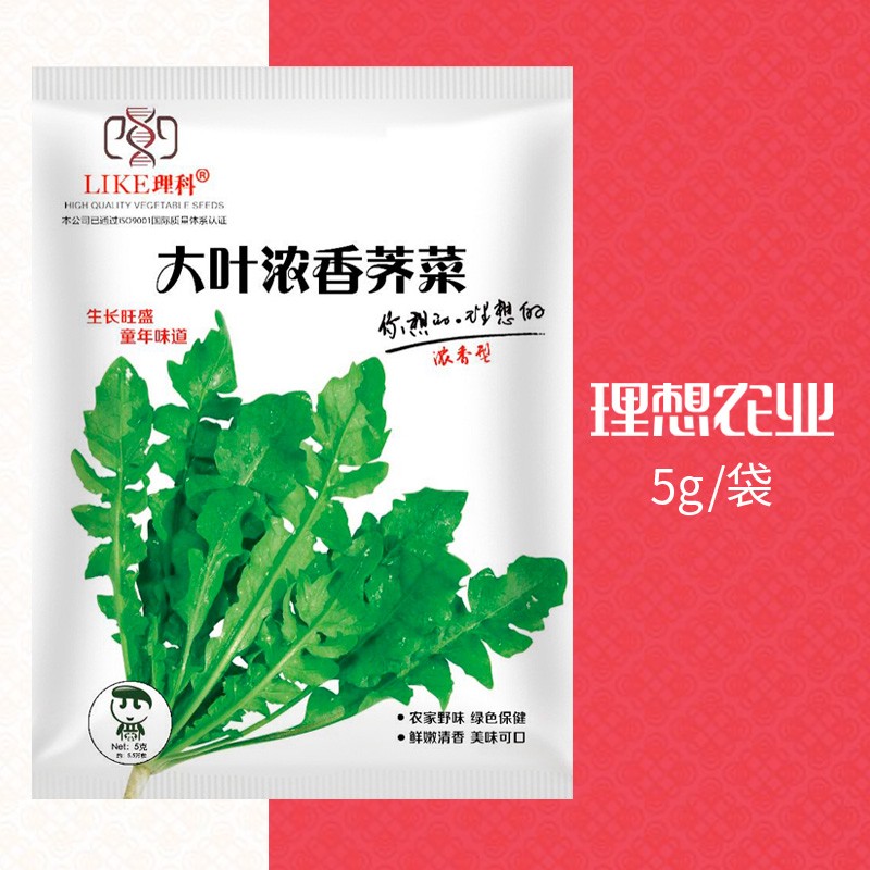 荠菜种子野生荠菜种子老品种荠荠菜种子耐寒野荠菜种子籽理想农业 均码 5包25g