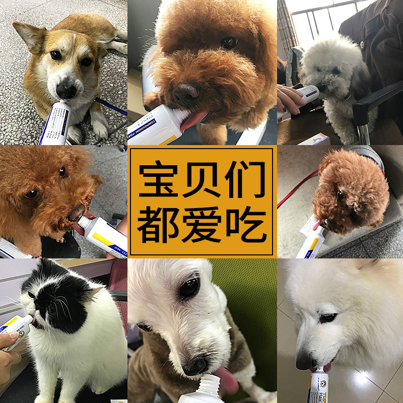 超能宠物综合营养膏泰迪金毛幼犬猫宠物营养膏调理肠胃营养保健品