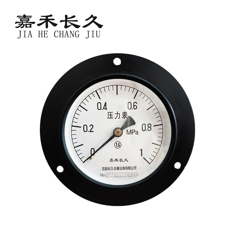嘉禾长久 轴向带边压力表检测型 Y100ZT 块 0-1.0MPAl