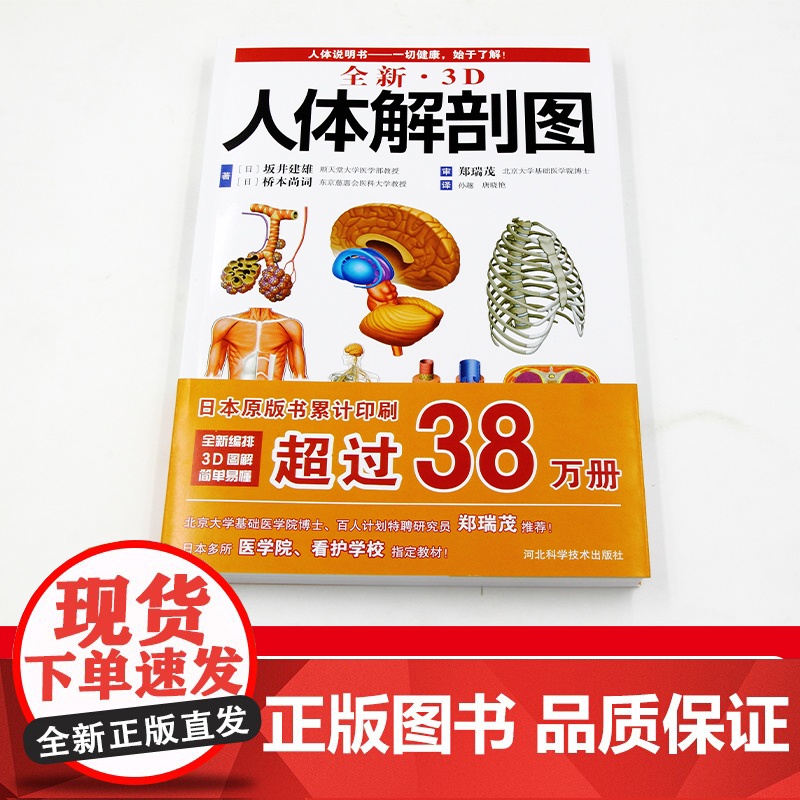 全新3D人体解剖图 人体肌肉解剖运动解剖学断层局部解剖学图谱解剖书教材卫生解剖生理学专业基础医学书运动解剖图谱 书中缘高清大图