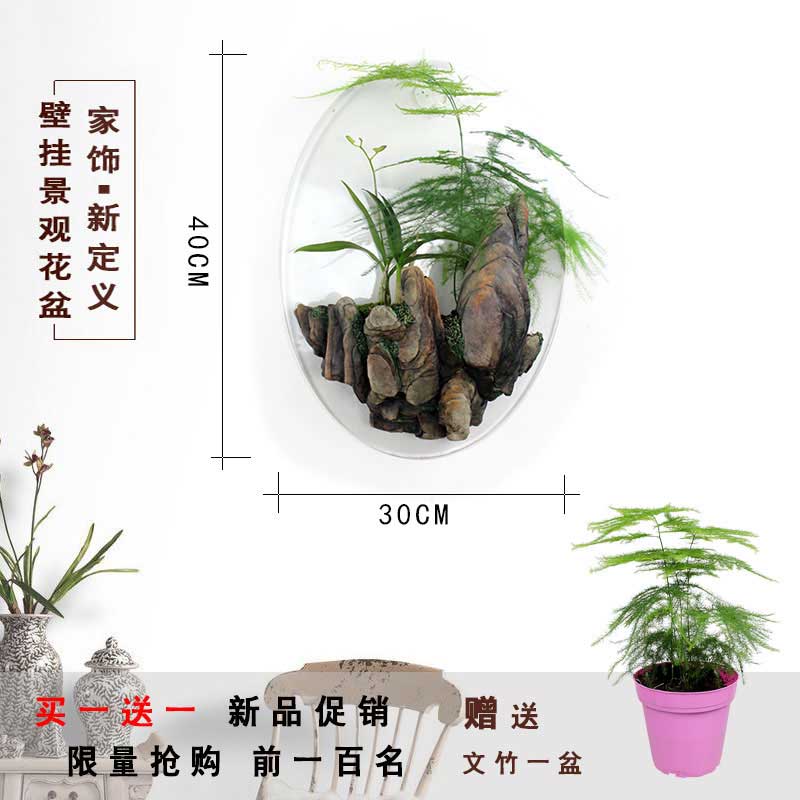 壁饰墙饰壁挂花盆墙上创意装饰品挂件墙壁鱼缸卧室客厅店墙面装饰 三维工匠 山水透明款（送文竹+换水器）