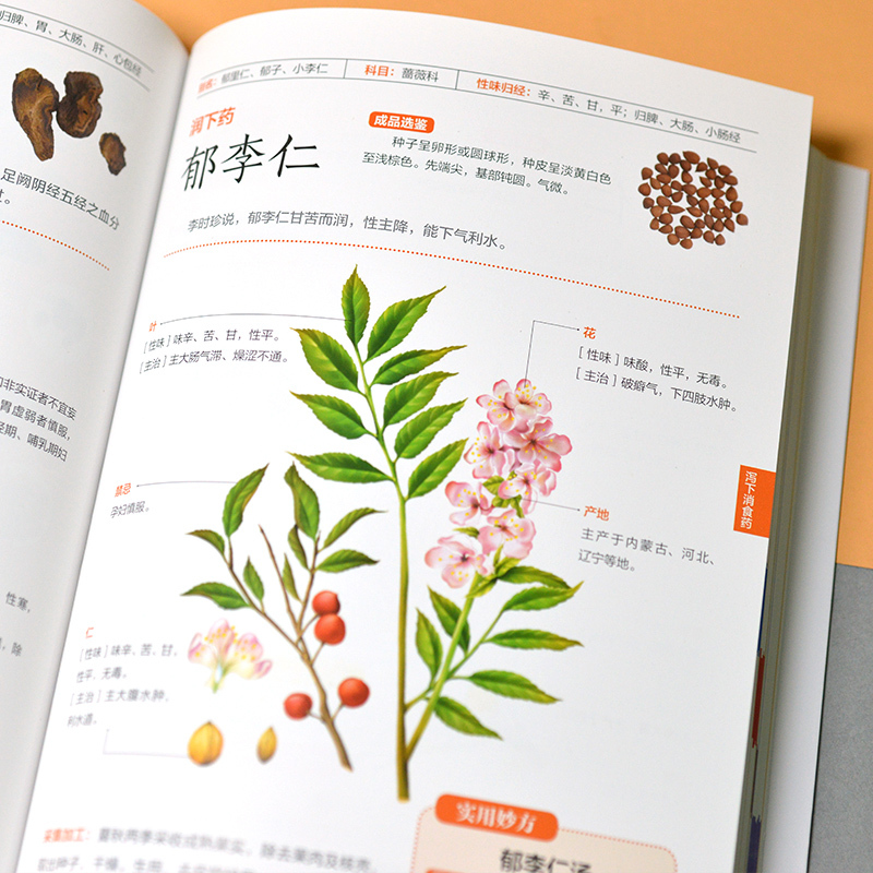 [正版]常用中药材速查图鉴 中药材百科书籍大全 中药配方中草药本草