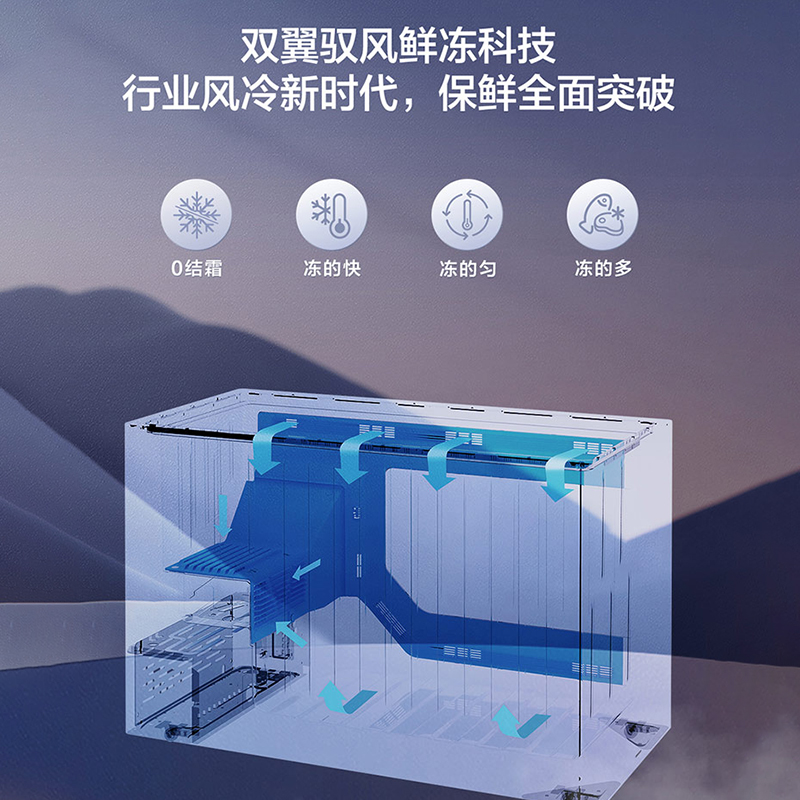 海尔(Haier) BC/BD-300WGHEC高清大图