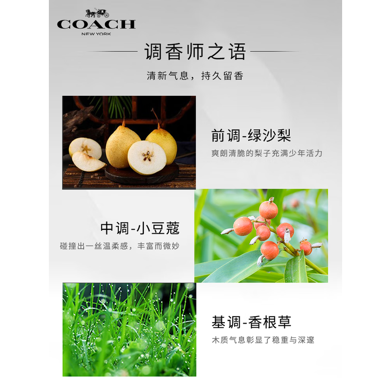 蔻驰纽约女士淡香水 90ml高清大图