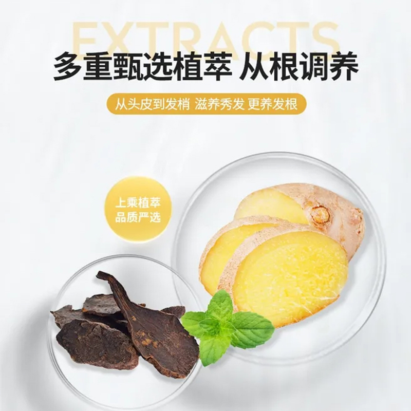 南京同仁堂人芝宝姜约防脱洗发露350ml 草本植物萃取精华 防脱发育发固发液养发护发去屑控油洗发露