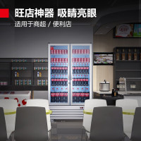 德玛仕(DEMASHI)展示柜商用双门冰箱 便利店超市冰啤酒饮料水果保鲜陈列柜 LG-680ZB[自带门锁]