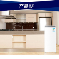 海尔(Haier) BD-195DEW 195升 立式冷柜 家用小型单温冰柜 抽屉式冷冻柜母乳茶叶柜