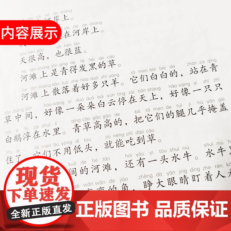 我的羊,在天堂/祁智芝麻开门成长书系(注音版)展现乡村童年的纯良与艰辛,困境中的希望与理想之光高清大图