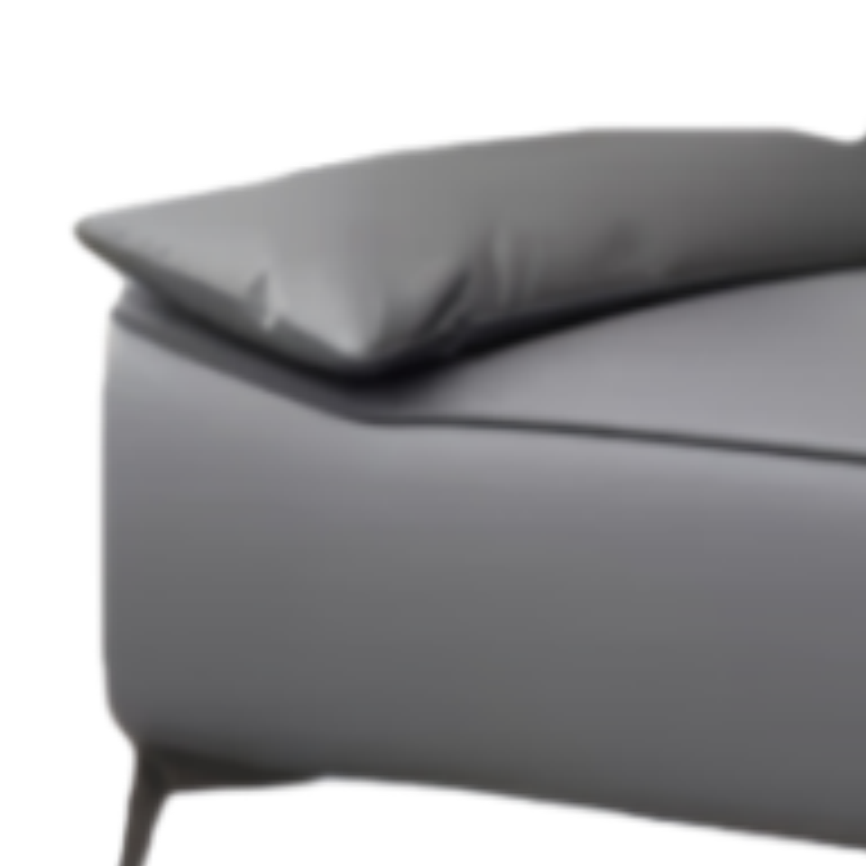 乐琪艺沙发床皮质张高清大图