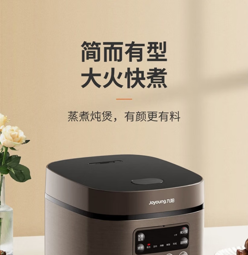 九阳电饭煲F30FZ-F4170高清大图